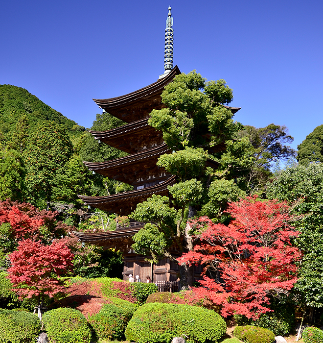 image:Rurikoji Temple and Five Storied Pagoda