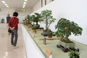 第５２回 柳井市生活芸術展覧会のイメージ
