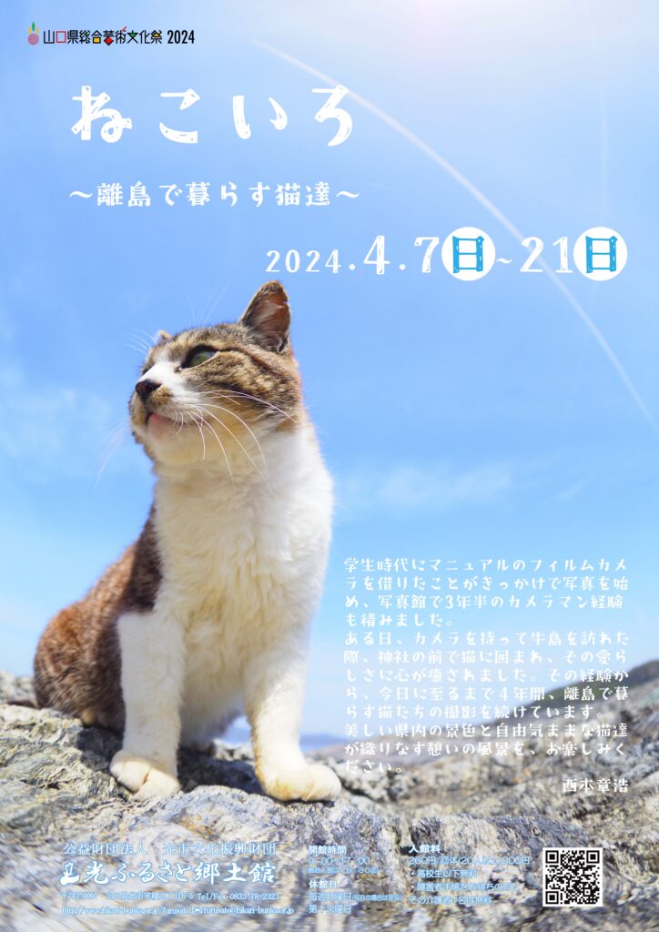 ねこいろ～離島で暮らす猫達のイメージ